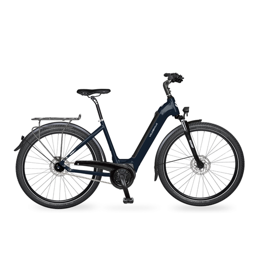 SEB 890 Deep - Cadre bas - 625wh